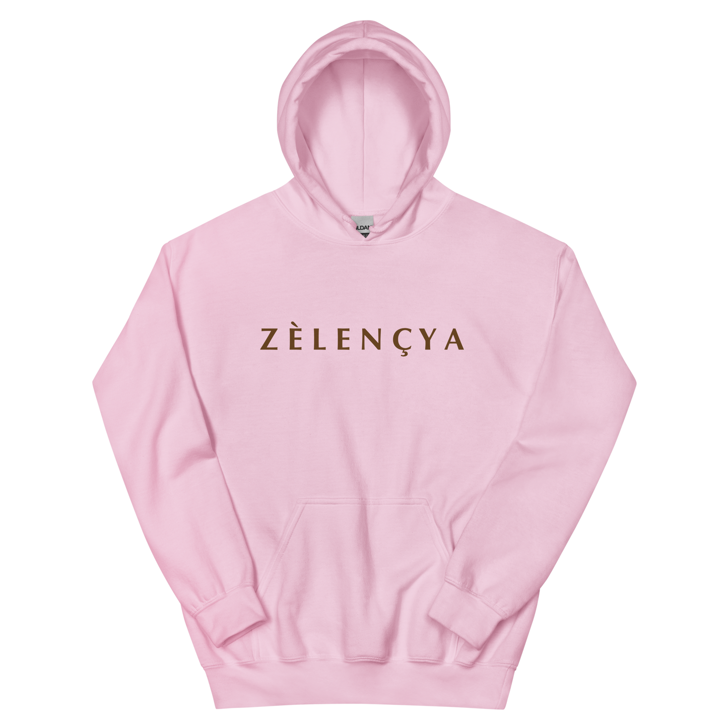 Déclaration Hoodie